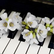 White,Quince,On,Piano,-,Condolence,Card